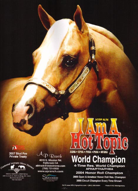 I_AM_A_HOT TOPIC_STALLONE