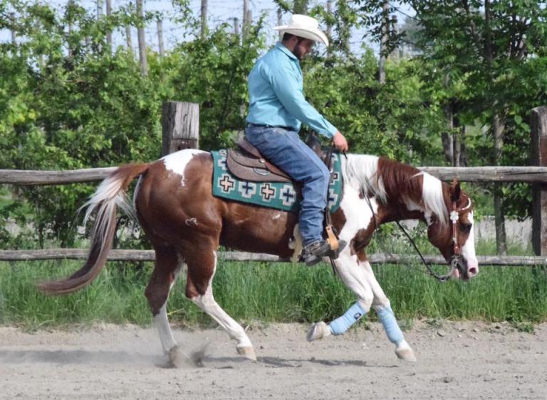 18671176_1184805294980412_3308608836866622703_n