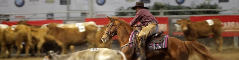 westernshow-fieracavalli