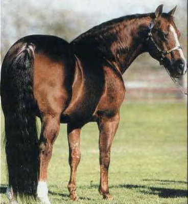 smart-little-lena-STALLONE