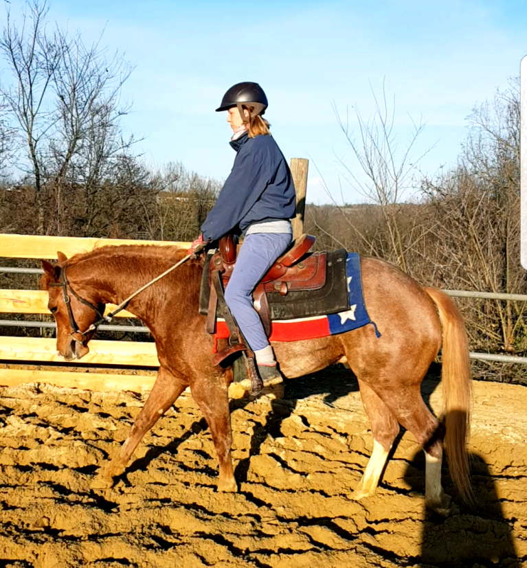 28942128_180488886067597_182865163_o