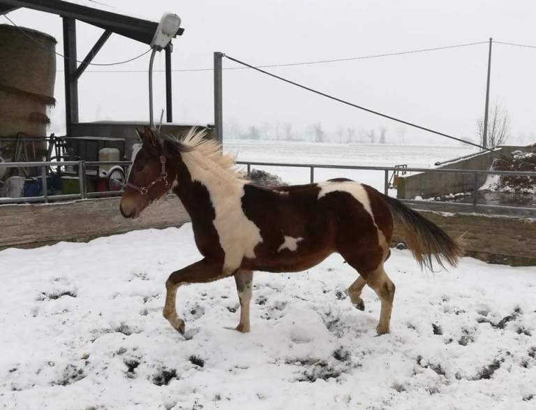 fb_img_15206909868771