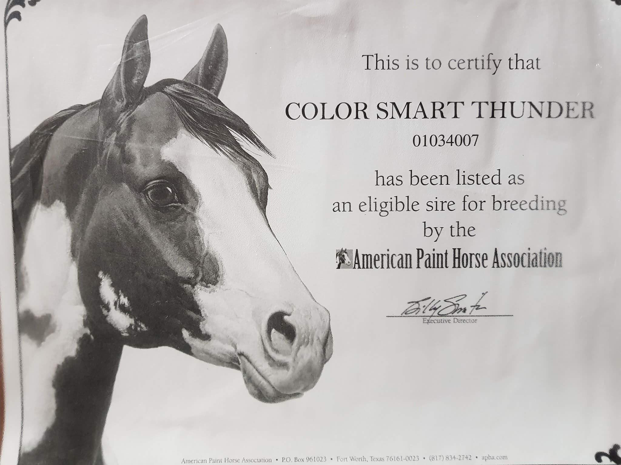 color-smart-thunder-breed-certification
