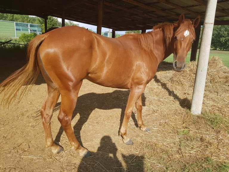 41594613_10212912000223689_7991279007783976960_n