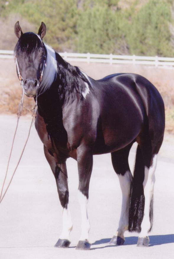 43577716_10156786543126098_4721201589916794880_n