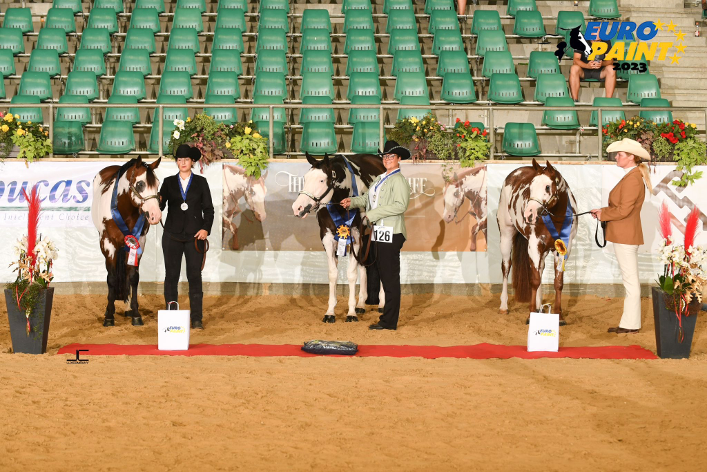 474 🏔️ COOL SILVER PIMA AKA OREGON (2018) • BAY OVERO PAINT HORSE