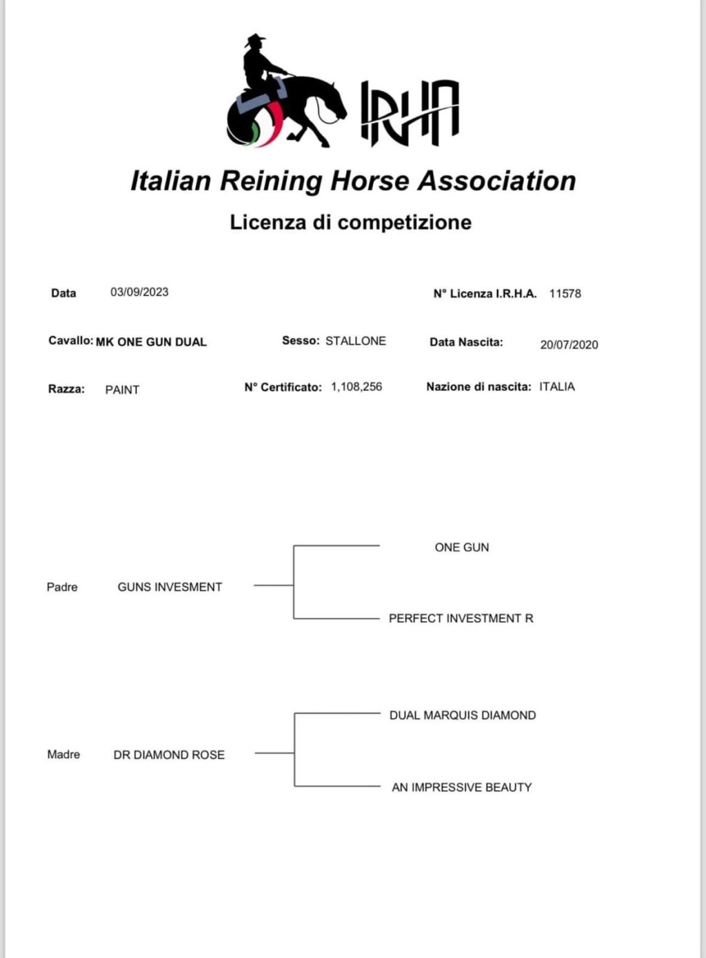 Mk One Gun Dual (2020), Paint Horse reining stallion for sale in Italy, Europe – stallone APHA in vendita in Calabria #768