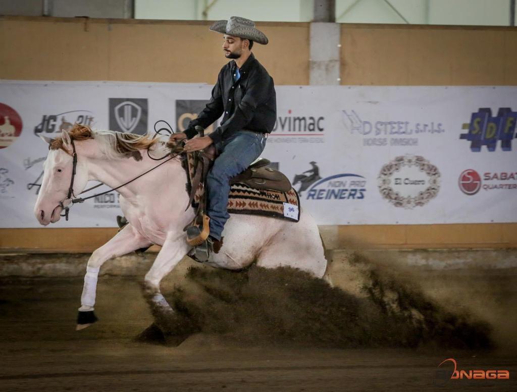 Mk One Gun Dual (2020), Paint Horse reining stallion for sale in Italy, Europe – stallone APHA in vendita in Calabria #768