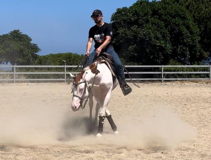 Mk One Gun Dual (2020), Paint Horse reining stallion for sale in Italy, Europe – stallone APHA in vendita in Calabria #768