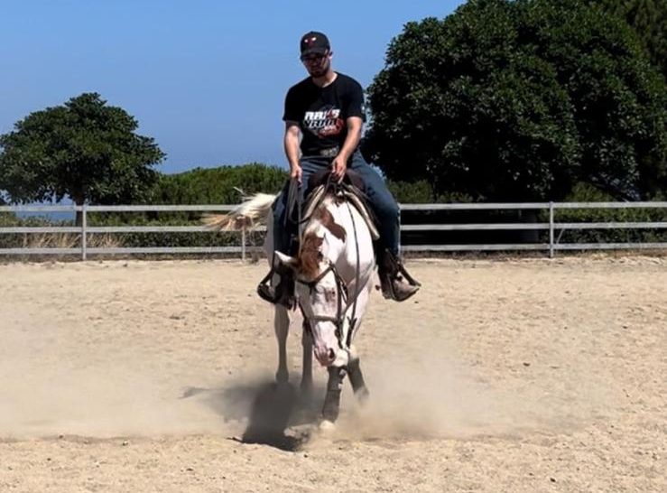 Mk One Gun Dual (2020), Paint Horse reining stallion for sale in Italy, Europe – stallone APHA in vendita in Calabria #768