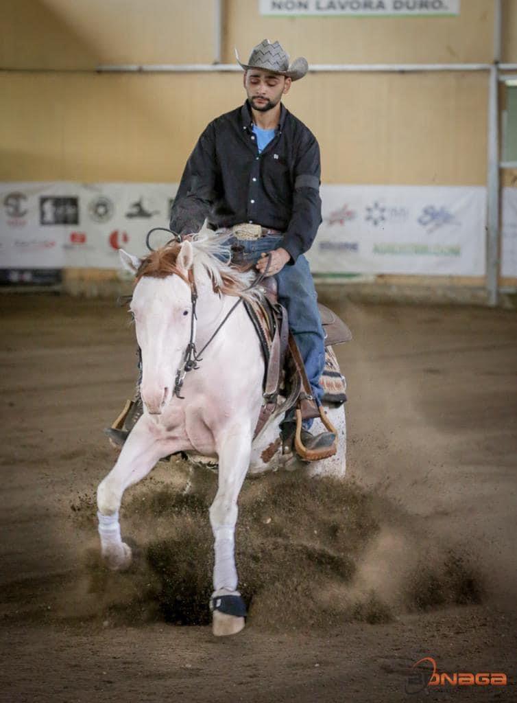 Mk One Gun Dual (2020), Paint Horse reining stallion for sale in Italy, Europe – stallone APHA in vendita in Calabria #768