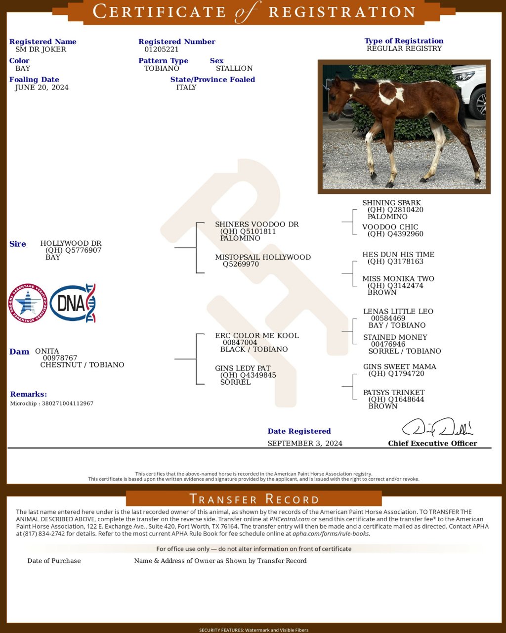 APHA registration certificate (papers) – certificato APHA Sm Dr Joker #926